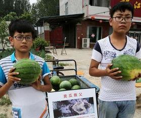 吃瓜盘点00后,揭秘网络热点的青春视角