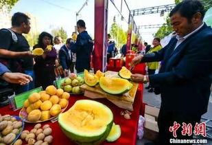 宣城最新吃瓜事件视频,视频揭秘惊人真相！