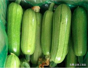 皇瓜连皮吃,传统美食新体验