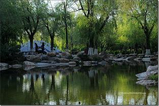 锦绣公园吃瓜,夏日消暑好去处