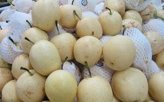 雪梨瓜孕妇可以吃吗,孕妇适宜食用的清凉水果