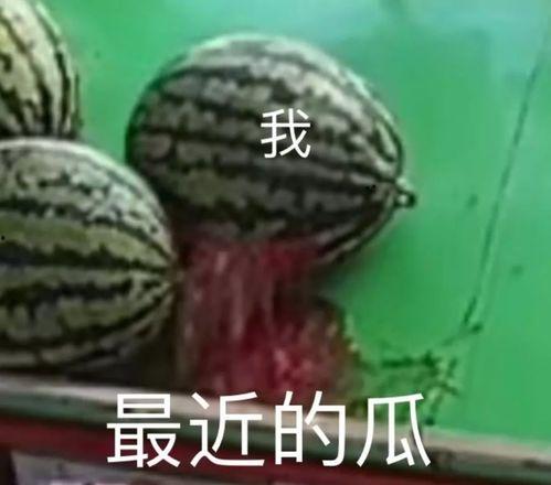 吃瓜要专业,揭秘娱乐圈幕后真相