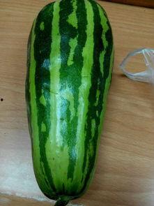 什么叫吃瓜唠,网络热词背后的社交现象