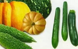 夏天吃秋瓜,清凉一夏的养生秘籍