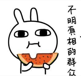 带你吃瓜搞笑日常,吃瓜搞笑瞬间大盘点