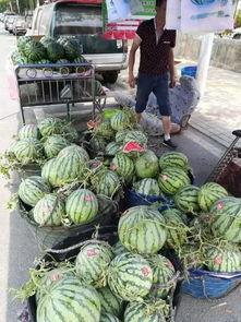 大城网红吃瓜事件