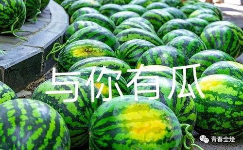 河田吃大瓜,一场味蕾与视觉的盛宴