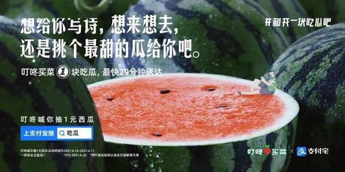 饭后吃瓜文案,生活更精彩