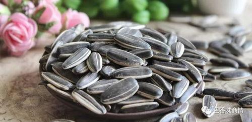 瓜芯解说吃瓜子,解锁吃瓜子的艺术与乐趣