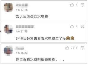 网友吃瓜查水费,揭秘水费背后的真相