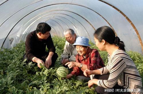 吃瓜老太爷,揭秘娱乐圈幕后真相