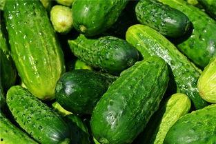 梦见坐车上吃瓜,坐车上吃瓜的奇幻之旅