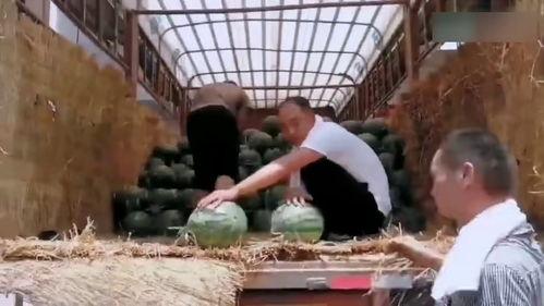 大学围栏吃瓜事件,揭秘大学校园吃瓜事件的背后真相