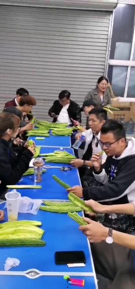 集体吃瓜完结,揭秘背后的真相与感悟