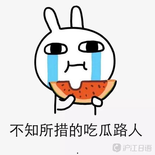 做个吃瓜路人,一场全民参与的娱乐盛宴