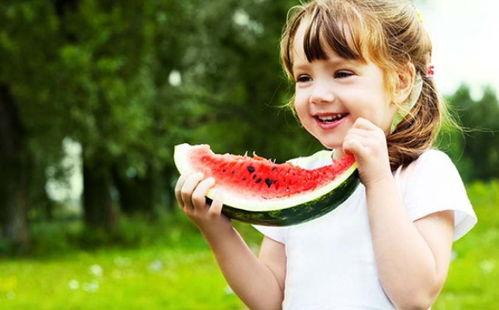 木头吃瓜小说,一场穿越时空的奇幻冒险之旅