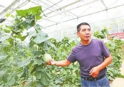 江夏吃瓜事件,一场网络热议的社区冲突揭秘