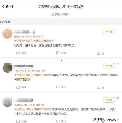 豆瓣吃瓜看笑话小组,揭秘娱乐圈幕后趣事，轻松一笑解忧愁