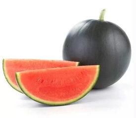 团长吃瓜电商,揭秘网红带货背后的秘密