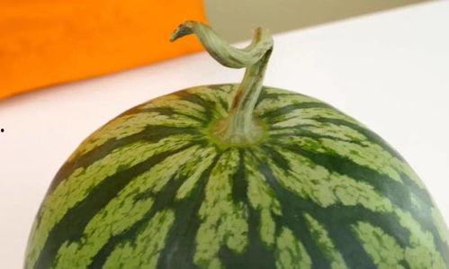 吃瓜小绿,揭秘娱乐圈那些不为人知的幕后故事